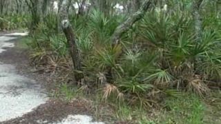 [K2S.CLUB] PRIVATPORNO - Im Park blase ich ihm einen - HD 720P-1