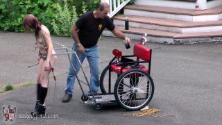 House of Gord15 03 27 Kitty - The Cart And The Crook-Lock System (Installation)-4