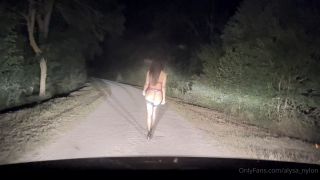 Alysa Nylon Sex At Night In The Forest On The Way Home (Hot Babes)-1