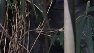 [SuperMisses.com] THZ-82 Super Heroine in Grave Danger!! Vol.82 Sailor Ariel-001-1