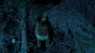 Dani Thompson - Cute Little Buggers (2017) HD 1080p!!!-5