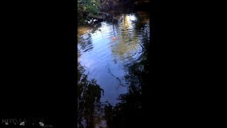 Meet Madden 20 07 29 Bass Fishing XXX 1080p MP4 - LEWD - Xxx-9