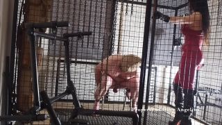 online xxx clip 19 Torturing My Caged Pig, bdsm sites on bdsm porn -4