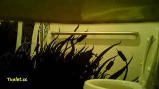 Voyeur Toilet Indoor 0322 – Cafe Toilet 3 - [Webcam]-1