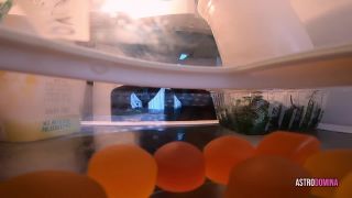 online xxx video 31 lelu love femdom Astro Domina – TINYS DIGESTIVE ADVENTURE, fetish on femdom porn-1