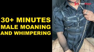 [GetFreeDays.com] 30 of ASMR Male Moaning and Whimpering Compilation Audio Porn Leak May 2023-1