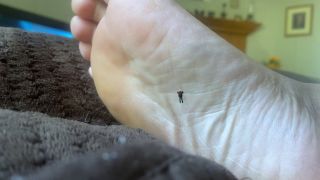 adult xxx clip 15 MXDominion aka Crush Goddess - Giantess Special Effects - Playful Teenie Climbing All Over Giantess Mxdominions Giant Soles Giantess Shrinking Fetish Foot Worship - FullHD 1080p | femdom pov | fetish porn milf fetish-0