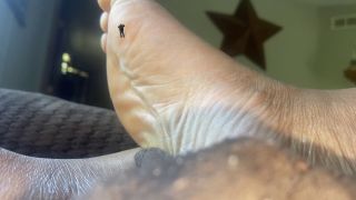 adult xxx clip 15 MXDominion aka Crush Goddess - Giantess Special Effects - Playful Teenie Climbing All Over Giantess Mxdominions Giant Soles Giantess Shrinking Fetish Foot Worship - FullHD 1080p | femdom pov | fetish porn milf fetish-7