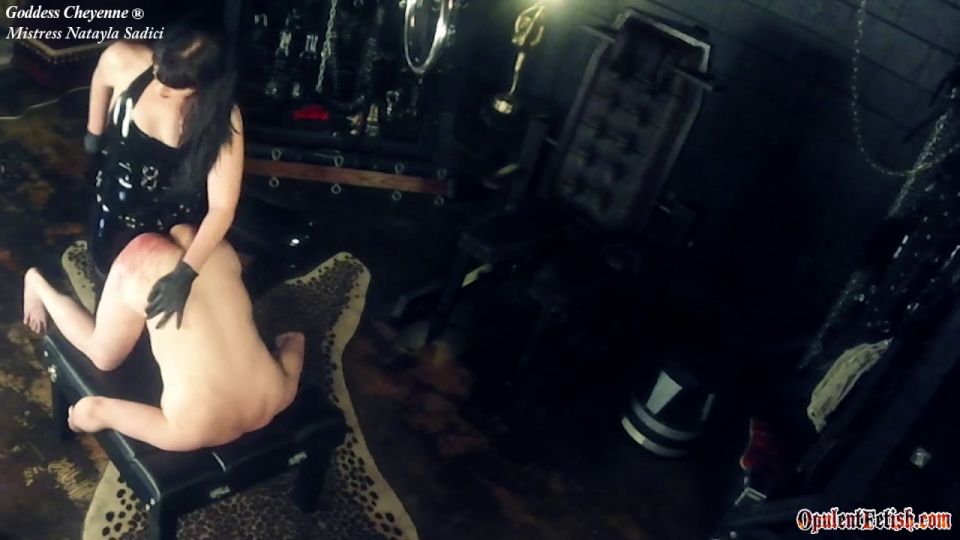   Femdom  Femdom Goddess Cheyenne - Balls Deep Bitch 