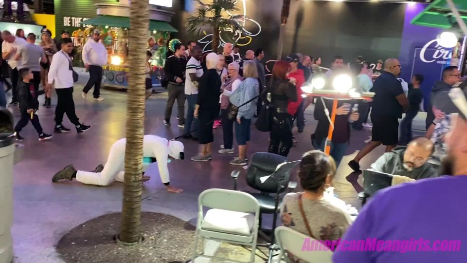 The Mean Girls - Goddess Platinum - Public Mutt Crawl (1080 HD) - joi on bdsm porn