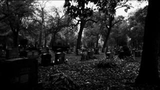 veronicavip 2024-10-07 Happy Spooky Season 1-9