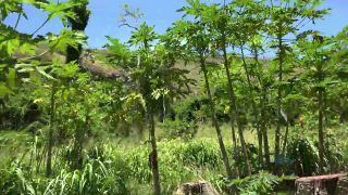 Lola Fae's Hiking Adventure Must-See Outdoor Date-4