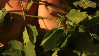 Berry Fairy Queensnake Studio Quick View Porn - New Sex ...-1