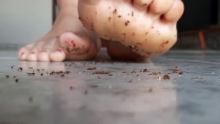 Giantess Hajar - Ants Crush By Hajar -  (FullHD 2024) New Porn-6