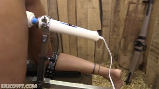 HUC 0925 - Thiccy Niccy - Hucow Orgasm BDSM-2