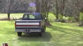 House of Gord17 04 07 Wildflower - Inverted Hood Ornament (Scene)-1