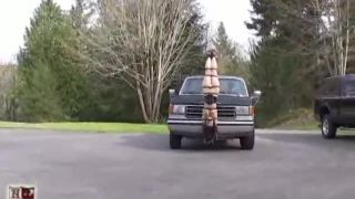 House of Gord17 04 07 Wildflower - Inverted Hood Ornament (Scene)-4