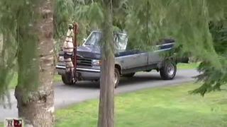 House of Gord17 04 07 Wildflower - Inverted Hood Ornament (Scene)-5