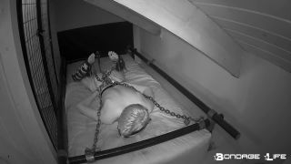 7125 Chain Web - Rachel Greyhound-4