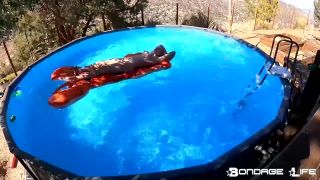 By The Pool With Greyhound - 08.09.21 Download New Porn V...-7