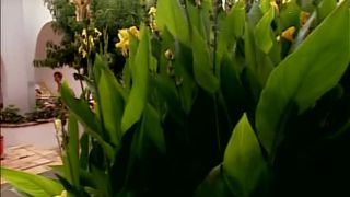 online clip 11 dirty blonde jokes Private Video Stories #2, cumshot on blonde porn-6