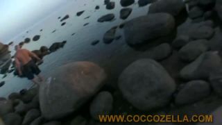 Coccozella-SiteRIP 0489-igor-milsta-8-7