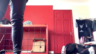 Black Porn Mistress Black 69 – Piggy Piggy Piggy-9