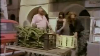 7136 Gefallene Suedfruechte Diamant Video-2