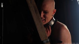 online porn video 44 BrutalMaster – Slave Greyhound | 30 November 2019 - brutal master - femdom porn femdom hotwife cuckold interracial-0