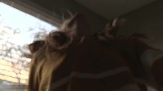 online clip 24 Kristie Bish – Caught Fucking your Ass Strapon Pt 4 | fetish | femdom porn femdom pony slave-7
