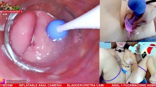 MILF porn Kitten Mathema Kitten @mathema-kitten - OnlyFans #400-0