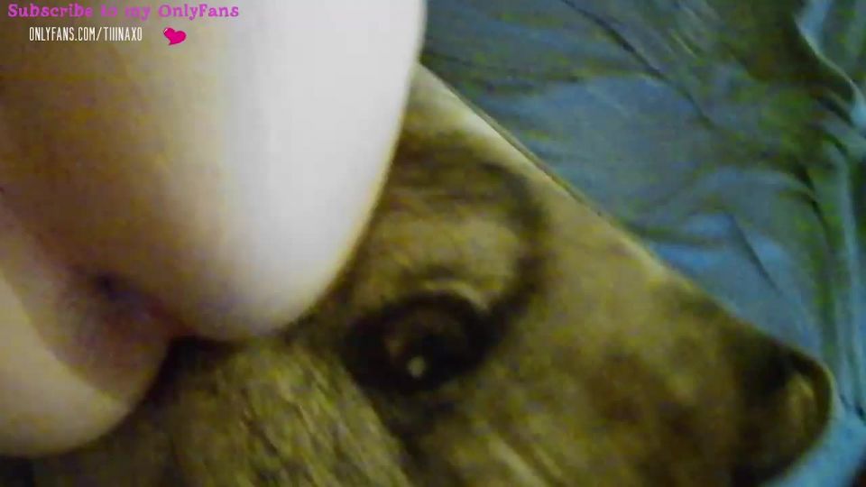 Shemale Webcams Video for January 02, 2022 – 18 Webcam