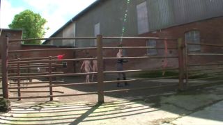 [GetFreeDays.com] The kingdom of pure slaves  expernt numer 05 anime bdsm-8