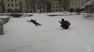 Lunaxjames' Odd Journey: 17 Weird Polish Encounters Revealed-9