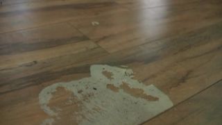 xxx clip 27 Goddess Pathi Humiliation | shoe cleaning | fetish porn dutch femdom-9