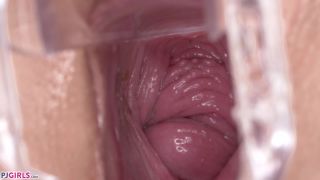 Pjgirls presents Sydney Love - Inside Sydney II - 2020-05-22 | pjgirls | toys -6