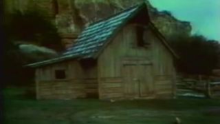 The Long Ranger (1987) - (Vintage)-6