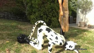 [K2S.CLUB] Queens of Kink - Fetish Liza and Natalie Goth TV - Latex cow inspected and fucked stage 1 - FullHD 1080P-1