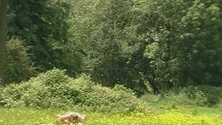 realsexpass partial siterip part 4 jan burton - onemanbanned - Outside Sex-3
