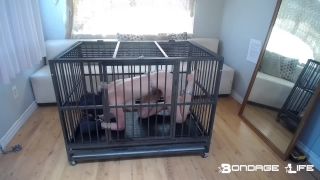 free adult clip 48 bdsm face strapon bdsm porn | Bondage Life – Playful Cage Time – 7/2/2021 | fetish-0