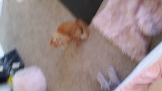 Beautifulsubby - subrina lucia () Subrinalucia - good morning baby 06-04-2020-9