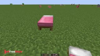 fucked everyone in minecraft Jenny mod-5