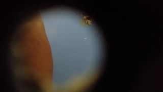 Hidden-Zone.com- Spy hole fresh pussy close-0