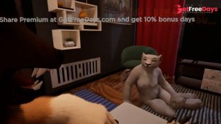 Midnight Paws and Purrs Wild Life-1