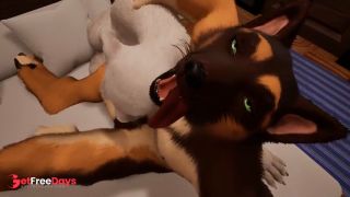 Midnight Paws and Purrs Wild Life-2