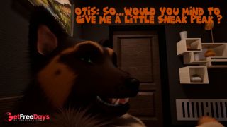 Midnight Paws and Purrs Wild Life-4