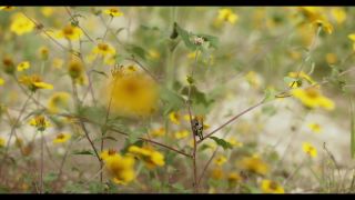 Beso De Mezcal - FullHD1080p-2