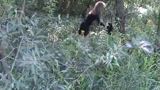 Woman caught changing in the forest-9