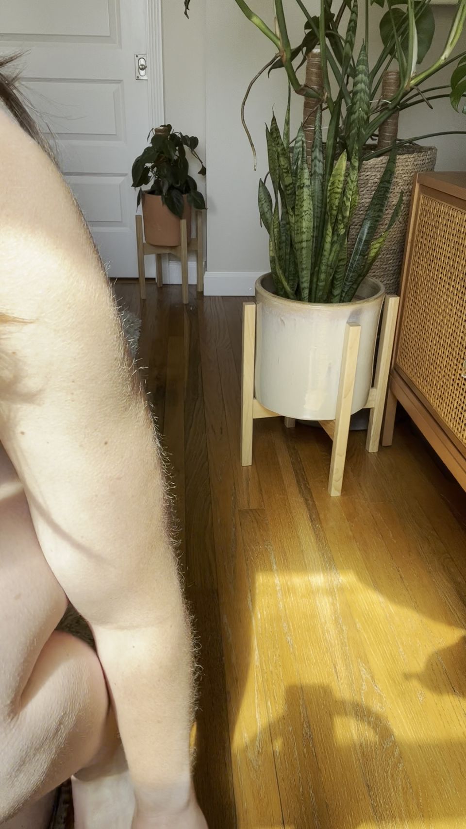 free online video 22 Nicolette Bloom – Earn my panties while I fuck your ass - joi video - masturbation porn anikka albrite femdom