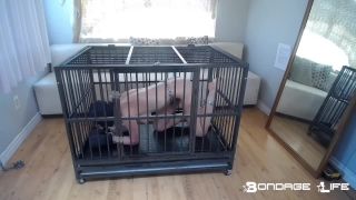 Playful Cage Time 07.02.21 Quick View Porn - New Sex Vide...-0